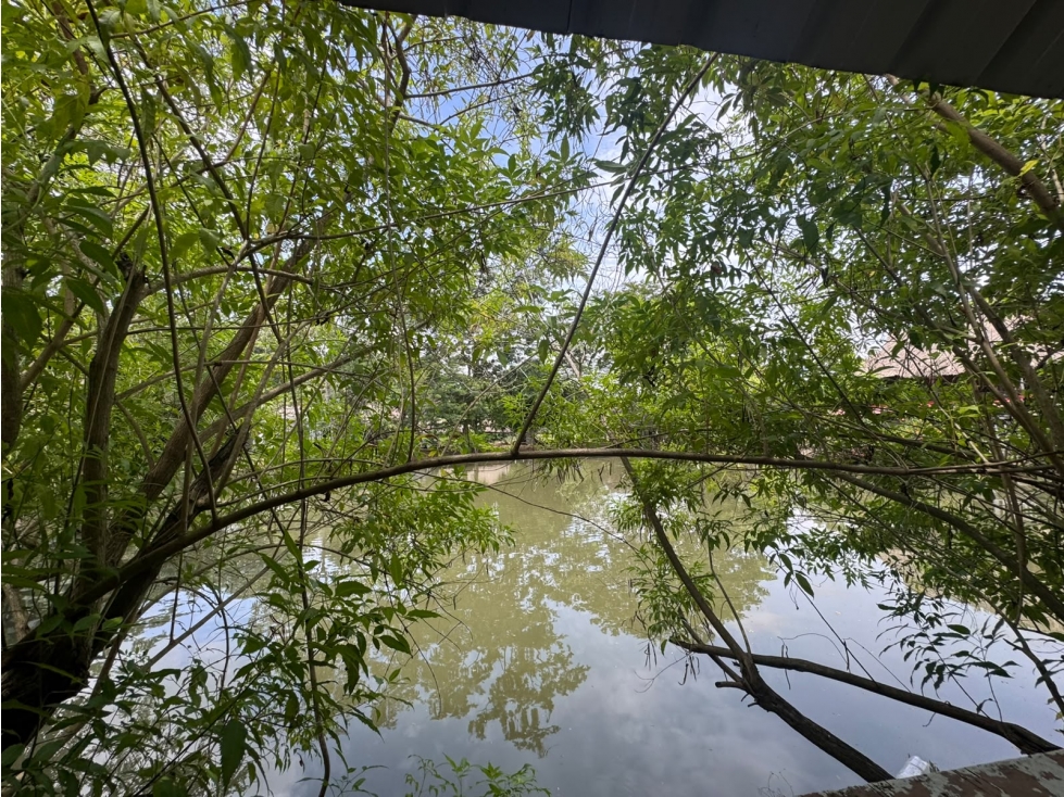 LAGO TERRENO EN VENTA EN MONTERIA - VIA PLANETA RICA — foto 3