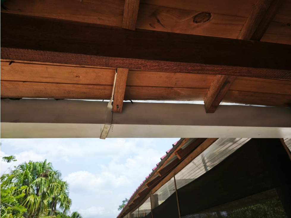 CASA CAMPESTRE EN VENTA - LA COROZA. MONTERIA - 6