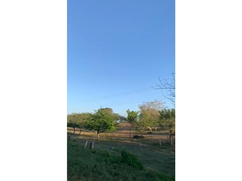 ARRIENDO FINCA + TERRENO VIA CALAMAR BOLIVAR - 4