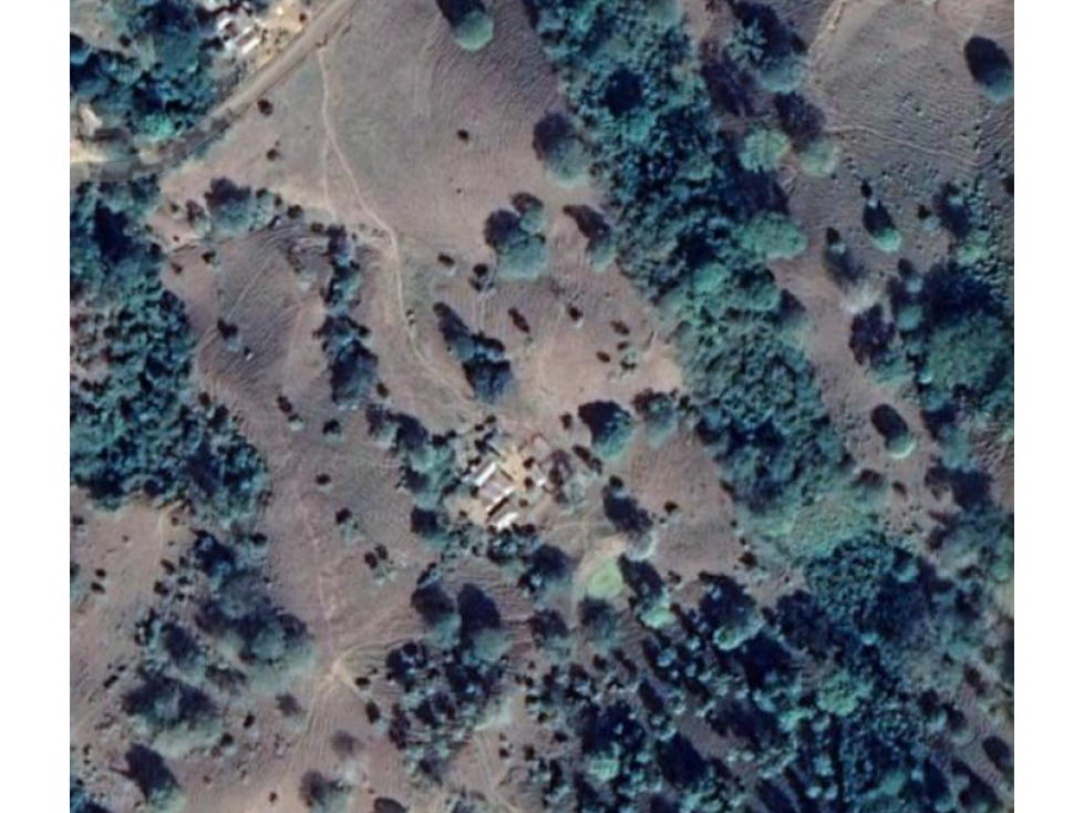 FINCA EN VENTA EN EL CORREGIMIENTO PUEBLO BUJO, VDA EL BALSAL- CORDOBA — foto 6