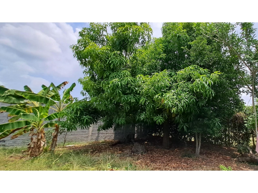 SE VENDE LOTE EN EL BARRIO HORIZONTE 375 Metros - MONTERÍA — foto 4