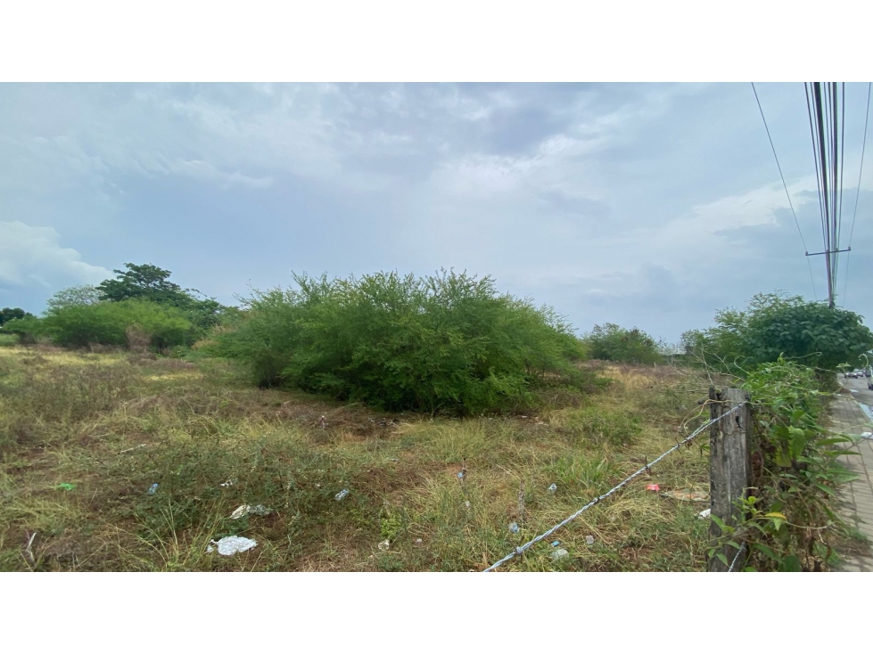 LOTE EN VENTA Y ARRIENDO FRENTE A CENTRO COMERCIAL DE MONTERIA — foto 3