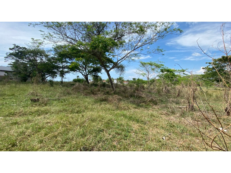 LOTE EN VENTA EN TOLU, FRENTE AL MAR, CERCA DEL AEROPUERTO - 2