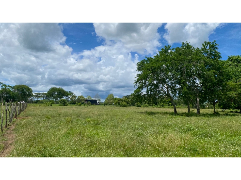 TERRENO EN VENTA EN SAN CARLOS- CORDOBA, ORILLA DE CARRETERA - 5