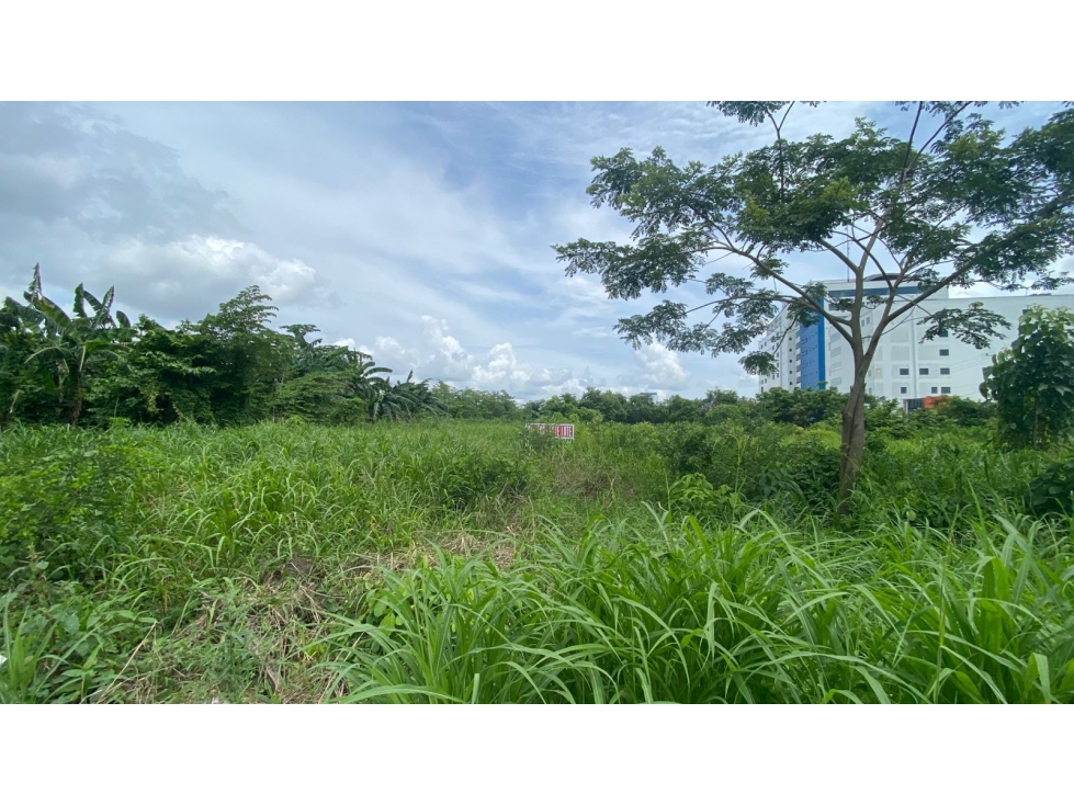 LOTE EN VENTA AL NORTE DE MONTERIA, SECTOR DE VALORIZACION — foto 4