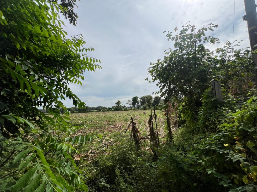 LOTE EN VENTA EN URBANIZACIÓN COMFACOR — foto 4