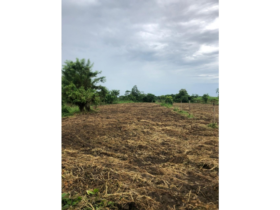 LOTE EN VENTA MUY CERCA DEL AEROPUERTO LOS GARZONES- MONTERIA — foto 4