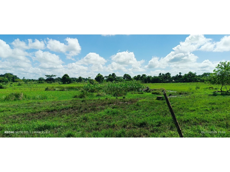 FINCA EN VENTA EN CIENAGA DE ORO - TIERRA PLANA - 5