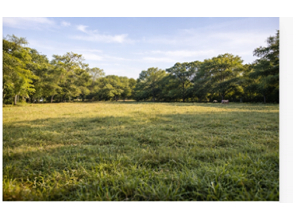 TERRENOS PARA CAMBIAR TU MUNDO — foto 4