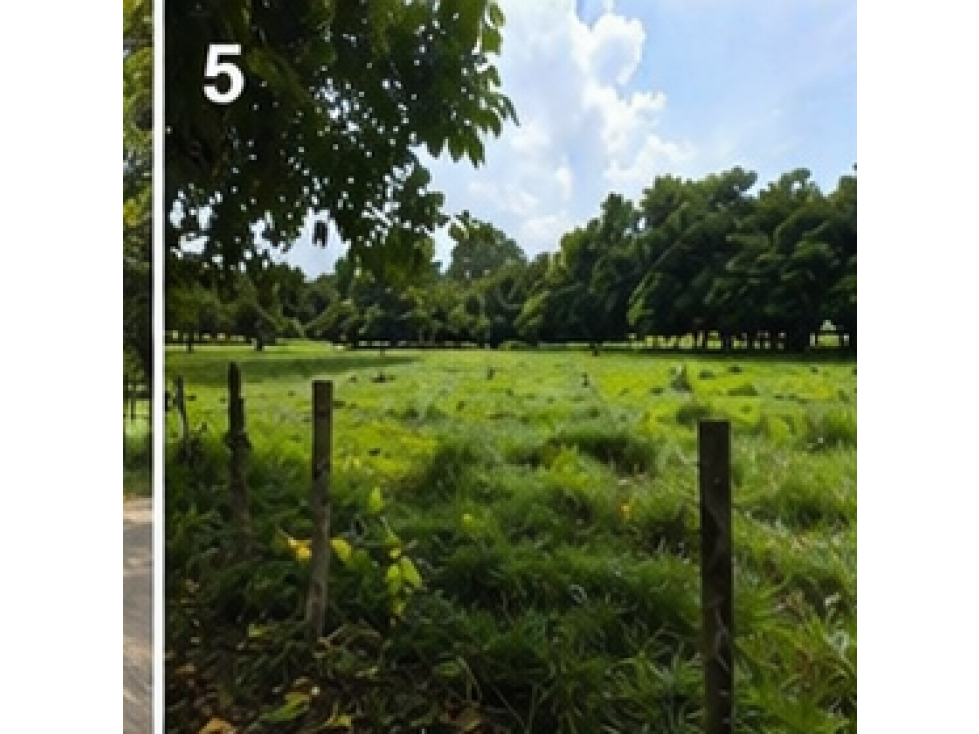 LOTE DE OPORTUNIDAD — foto 2