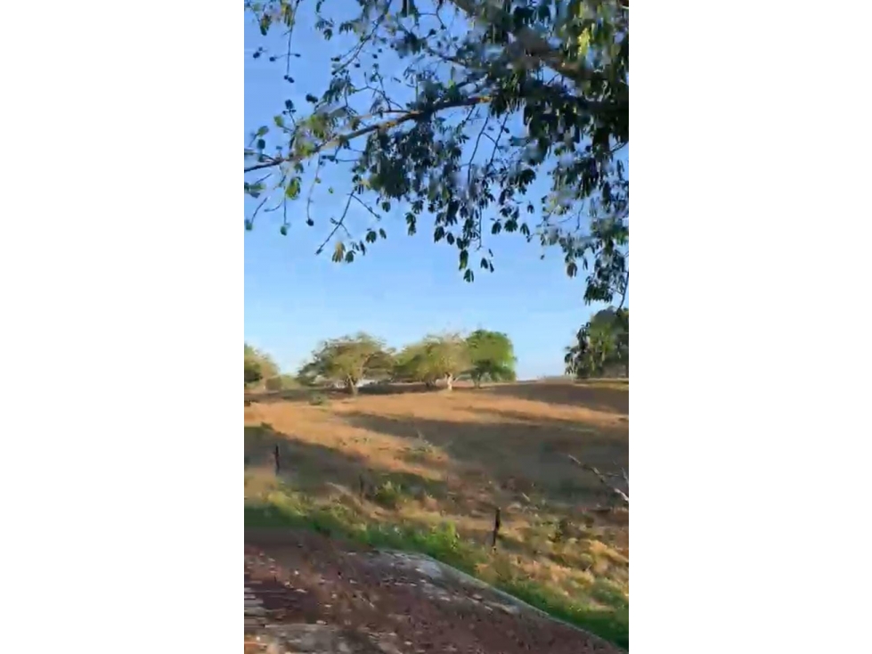 ARRIENDO FINCA + TERRENO VIA CALAMAR BOLIVAR - 5