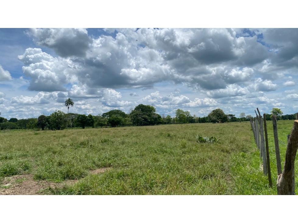 TERRENO EN VENTA EN SAN CARLOS- CORDOBA, ORILLA DE CARRETERA - 6
