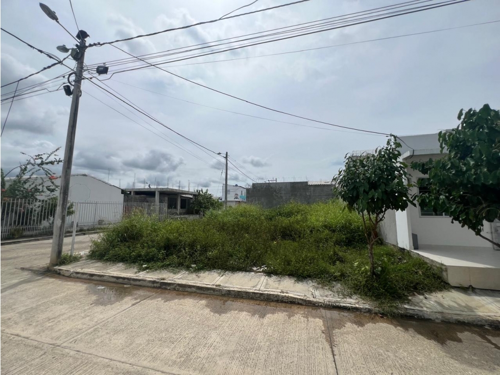 LOTE EN VENTA EN ZONA RESIDENCIAL VALLEJO - MONTERÍA — foto 5