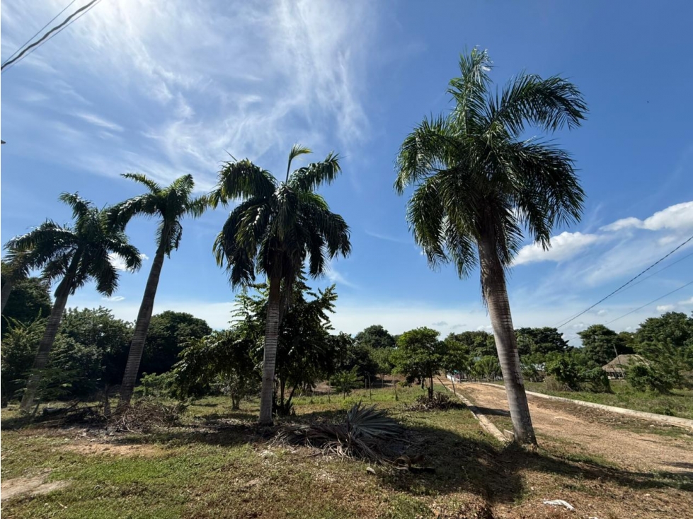 LOTE CAMPESTRE EN VENTA A 400M2 DE PLAYA BLANCA - SAN ANTERO - 4