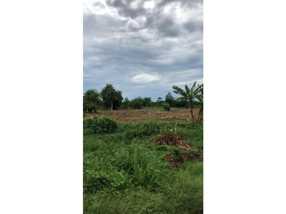 LOTE EN VENTA MUY CERCA DEL AEROPUERTO LOS GARZONES- MONTERIA — foto 5