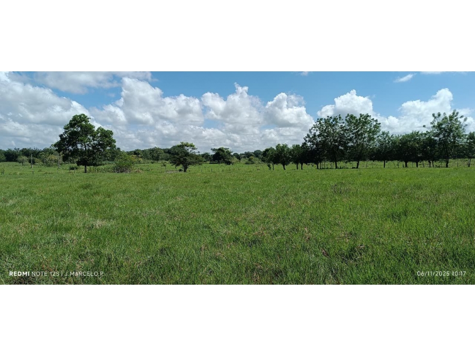 FINCA EN VENTA EN CIENAGA DE ORO - TIERRA PLANA - 6