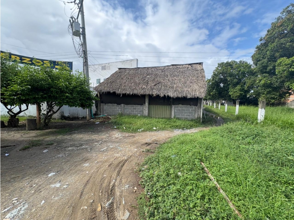 LOTE INDUSTRIAL EN VENTA ZONA FRANCA DE CERETE - 1