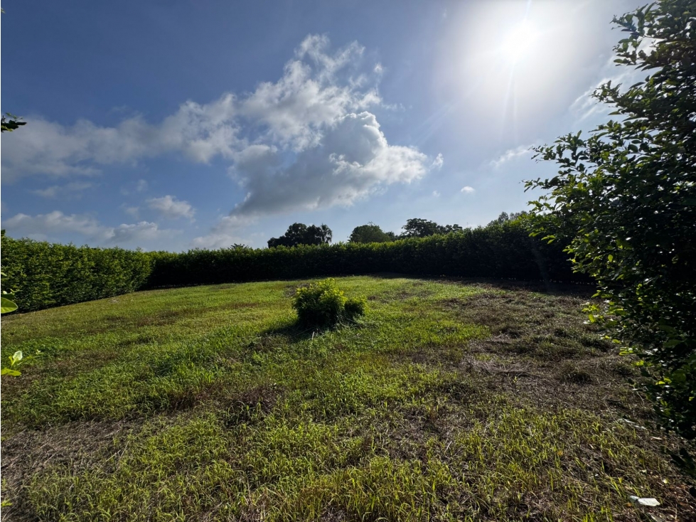 PROYECTO DE LOTES CAMPESTRES EN MONTERIA — foto 3