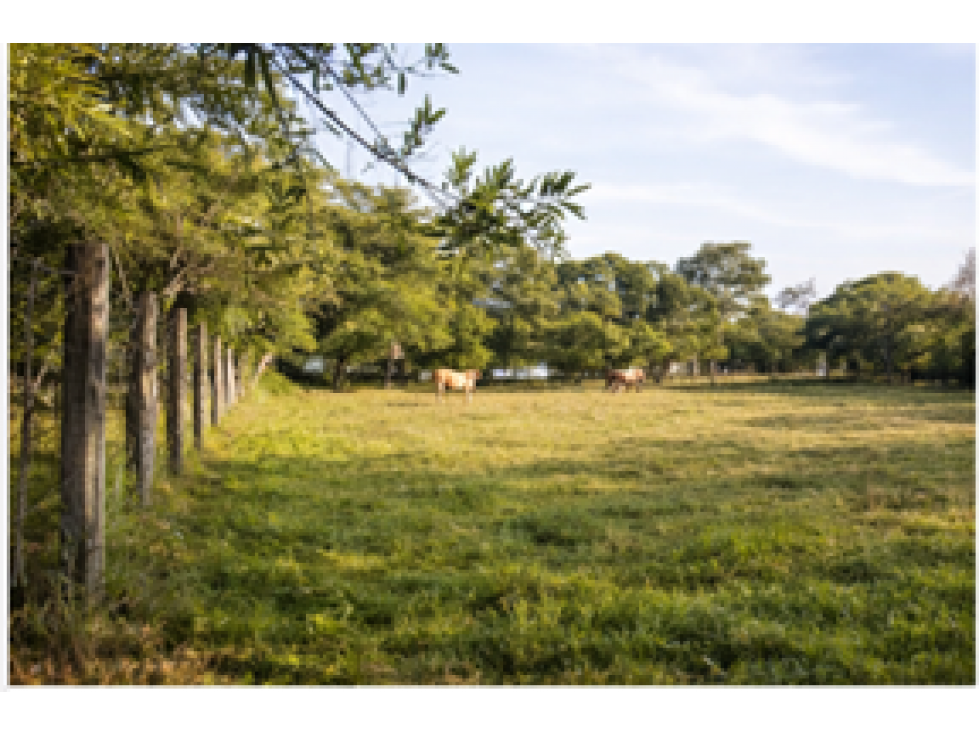 TERRENOS PARA CAMBIAR TU MUNDO