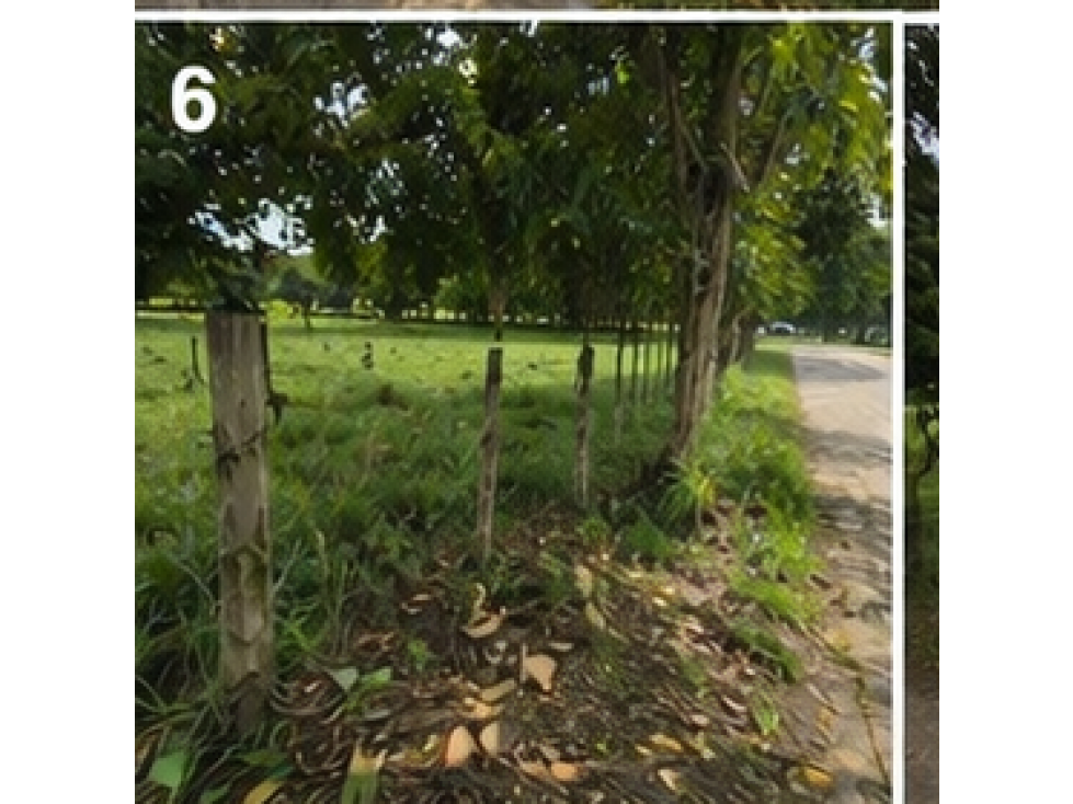 LOTE DE OPORTUNIDAD — foto 3