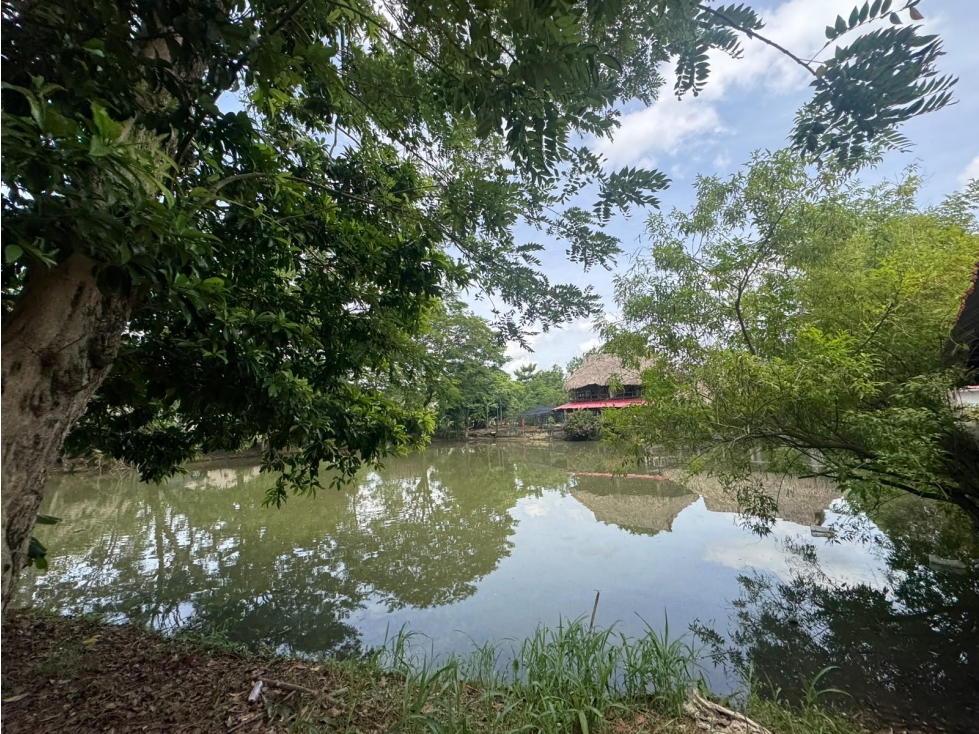LAGO TERRENO EN VENTA EN MONTERIA - VIA PLANETA RICA — foto 5