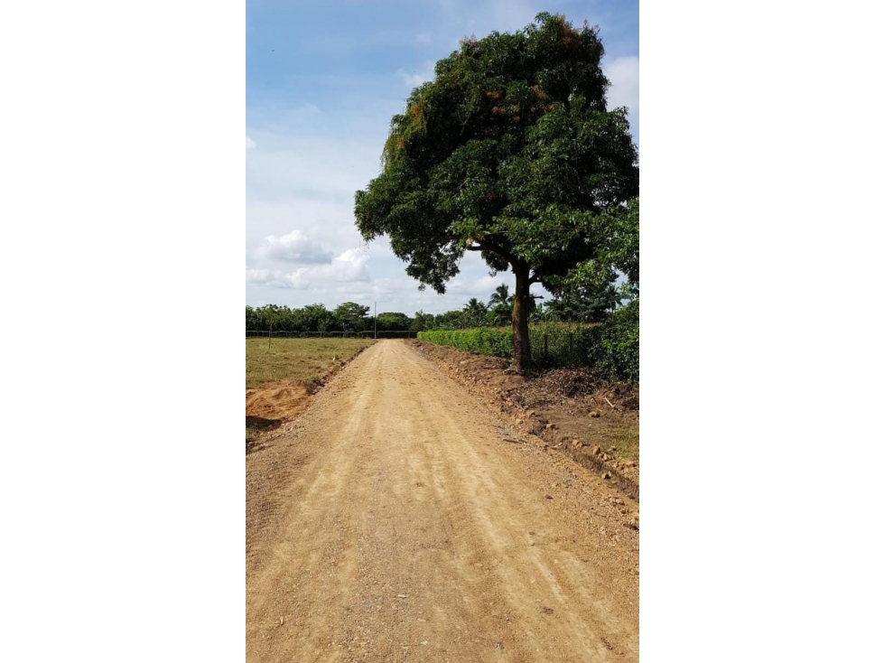 LOTES CAMPESTRES EN VENTA - VÍA SAN CARLOS — foto 6