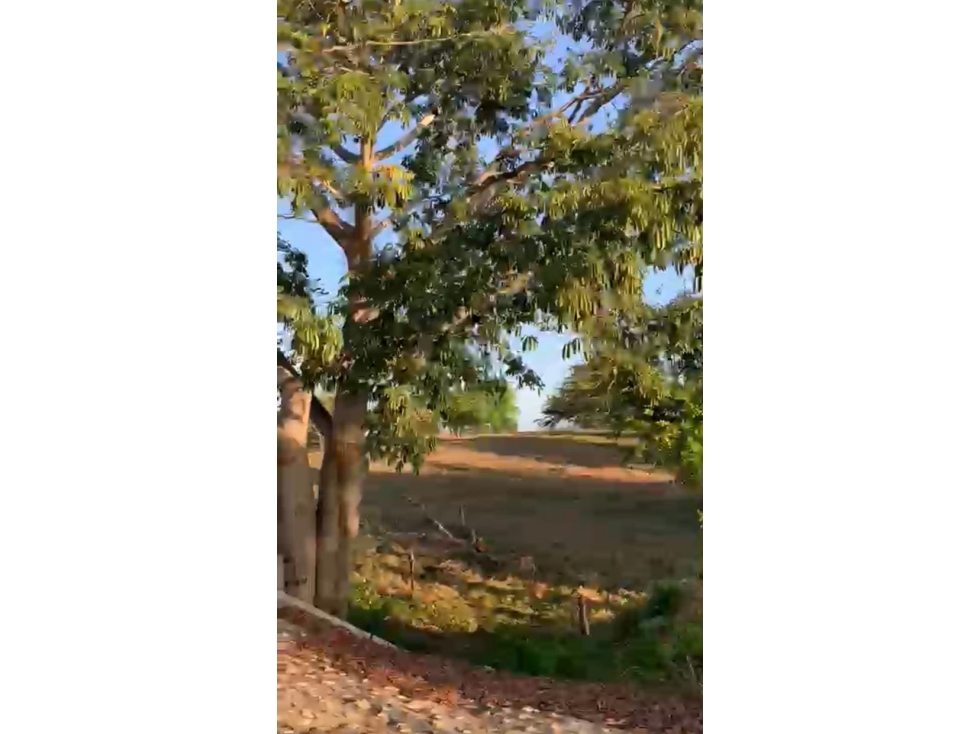 ARRIENDO FINCA + TERRENO VIA CALAMAR BOLIVAR - 6