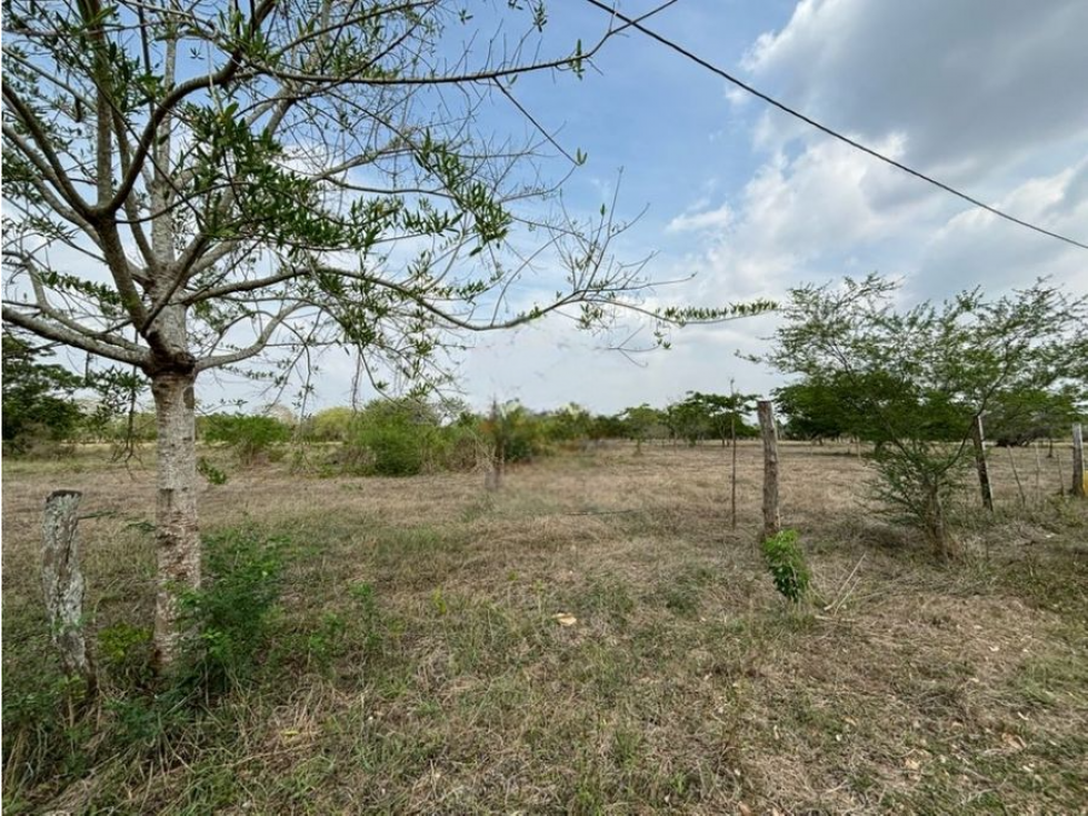 LOTE IDEAL PARA CASA DE DESCANSO - MONTERIA.