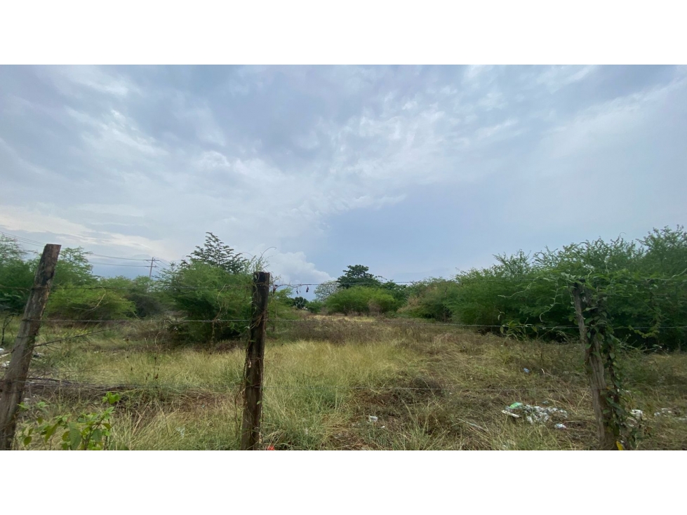 LOTE EN VENTA Y ARRIENDO FRENTE A CENTRO COMERCIAL DE MONTERIA — foto 5
