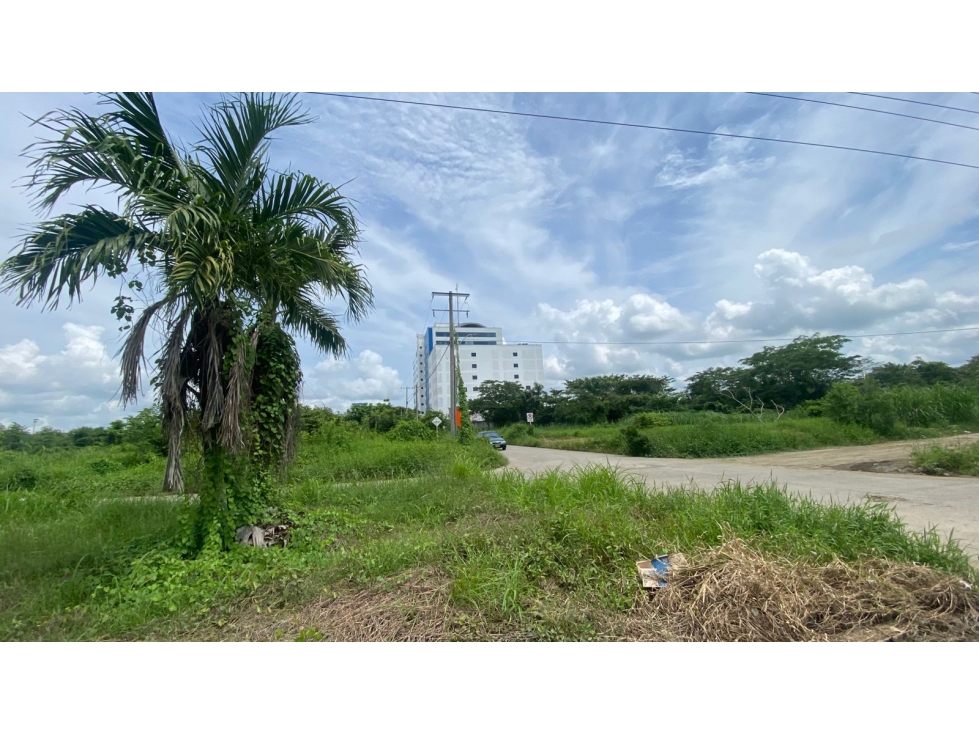 LOTE EN VENTA AL NORTE DE MONTERIA, SECTOR DE VALORIZACION — foto 6