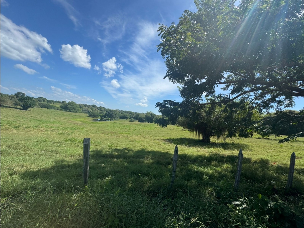 LOTES CAMPESTRES EN AN ANTERO CORDOBA A 500M2 DEL MAR - 6