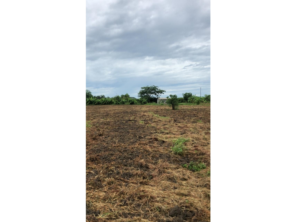 LOTE EN VENTA MUY CERCA DEL AEROPUERTO LOS GARZONES- MONTERIA — foto 6
