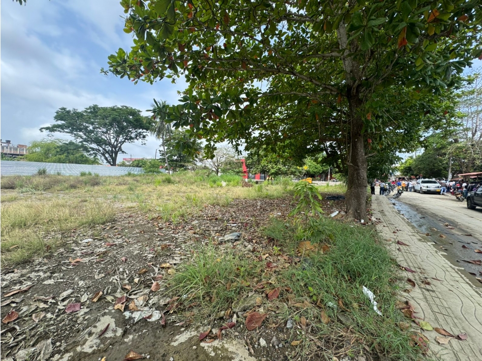 LOTE COMERCIAL EN VENTA EN MONTERIA — foto 4