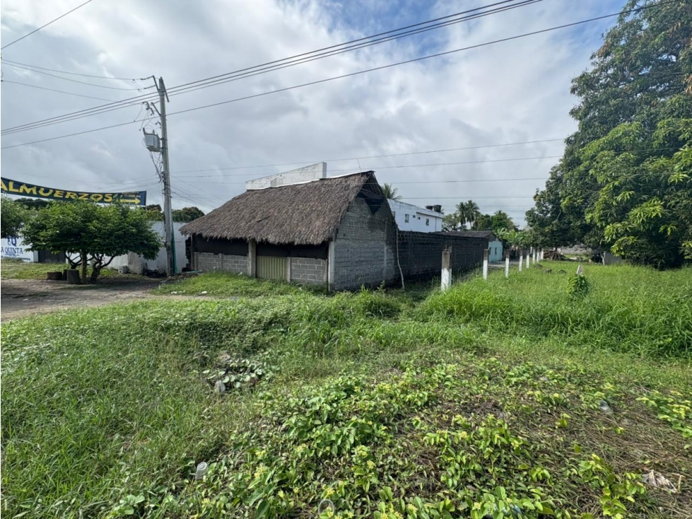 LOTE INDUSTRIAL EN VENTA ZONA FRANCA DE CERETE - 3