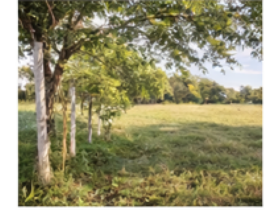 TERRENOS PARA CAMBIAR TU MUNDO — foto 6