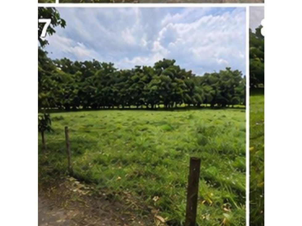 LOTE DE OPORTUNIDAD — foto 4