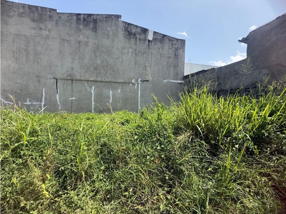 LOTE MEDIANERO EN VENTA EN ROSENDO GARCES - MONTERIA — foto 6