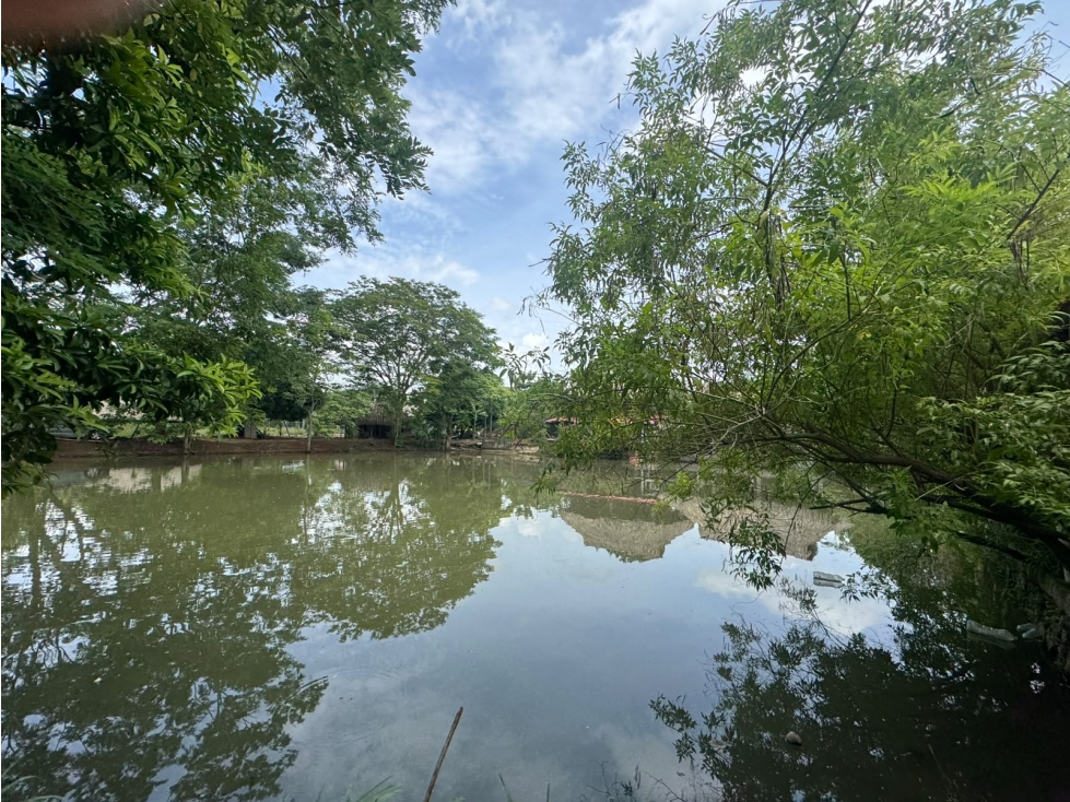 LAGO TERRENO EN VENTA EN MONTERIA - VIA PLANETA RICA — foto 6