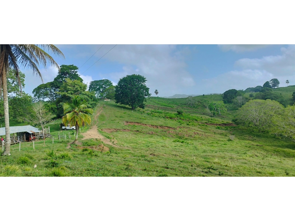 FINCA EN VENTA EN LOS CORDOBAS - 6