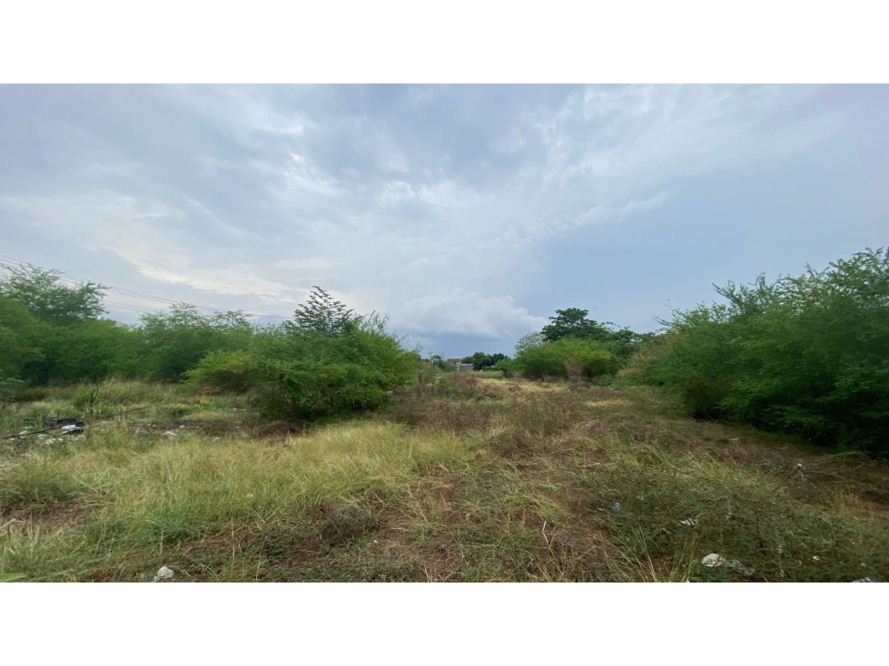 LOTE EN VENTA Y ARRIENDO FRENTE A CENTRO COMERCIAL DE MONTERIA — foto 6