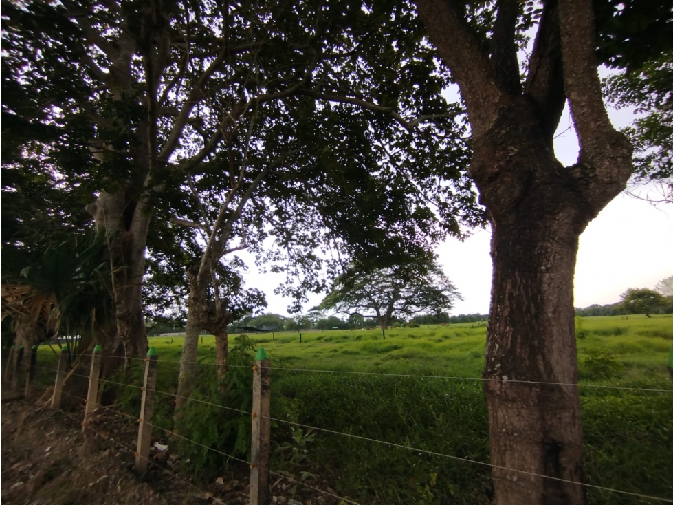 PROYECTO DE LOTES CAMPESTRES DE 1000 M2 VIA SABANAL - MONTERIA — foto 4