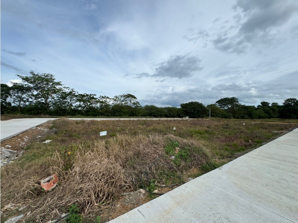 LOTE EN PROYECTO DE VIVIENDA EN CERETE, ALTA VALORIZACION - 1