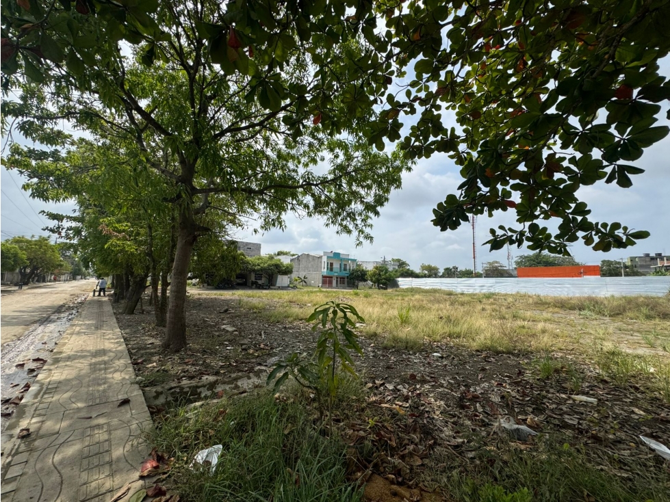 LOTE COMERCIAL EN VENTA EN MONTERIA — foto 5