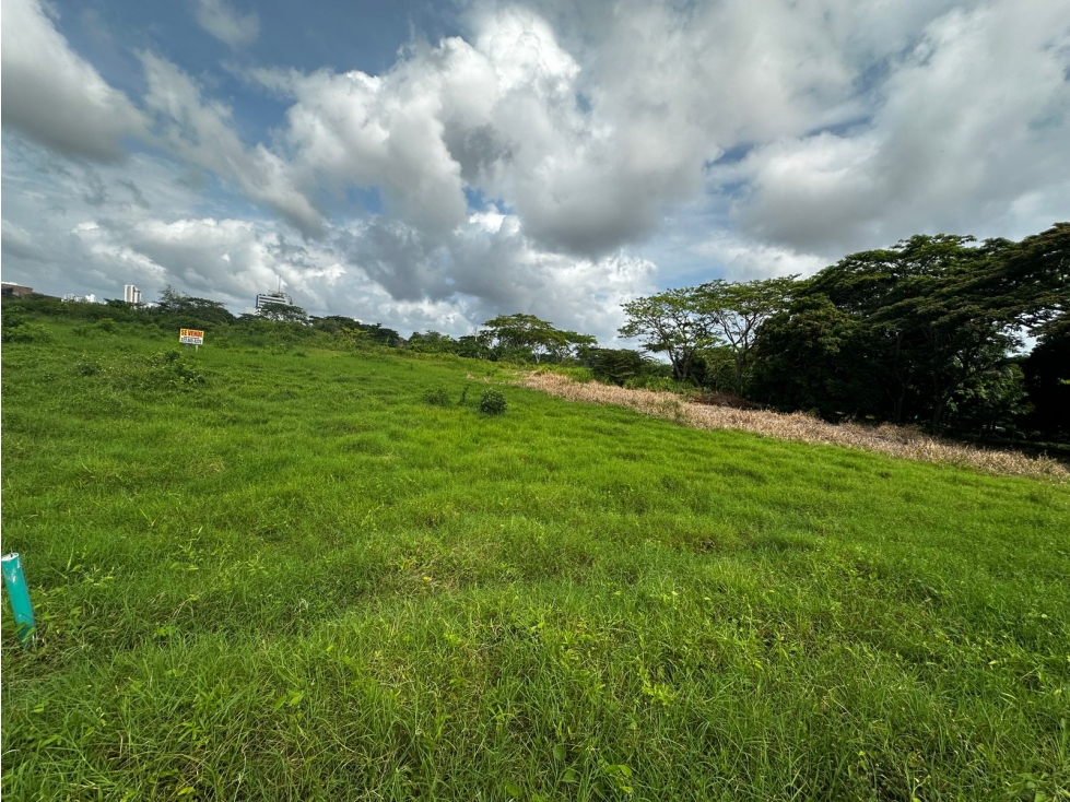 LOTES EN VENTA CASTELLANA MONTERIA — foto 4