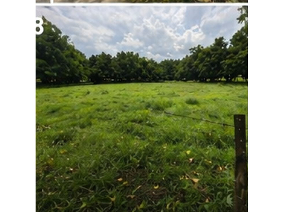 LOTE DE OPORTUNIDAD — foto 5