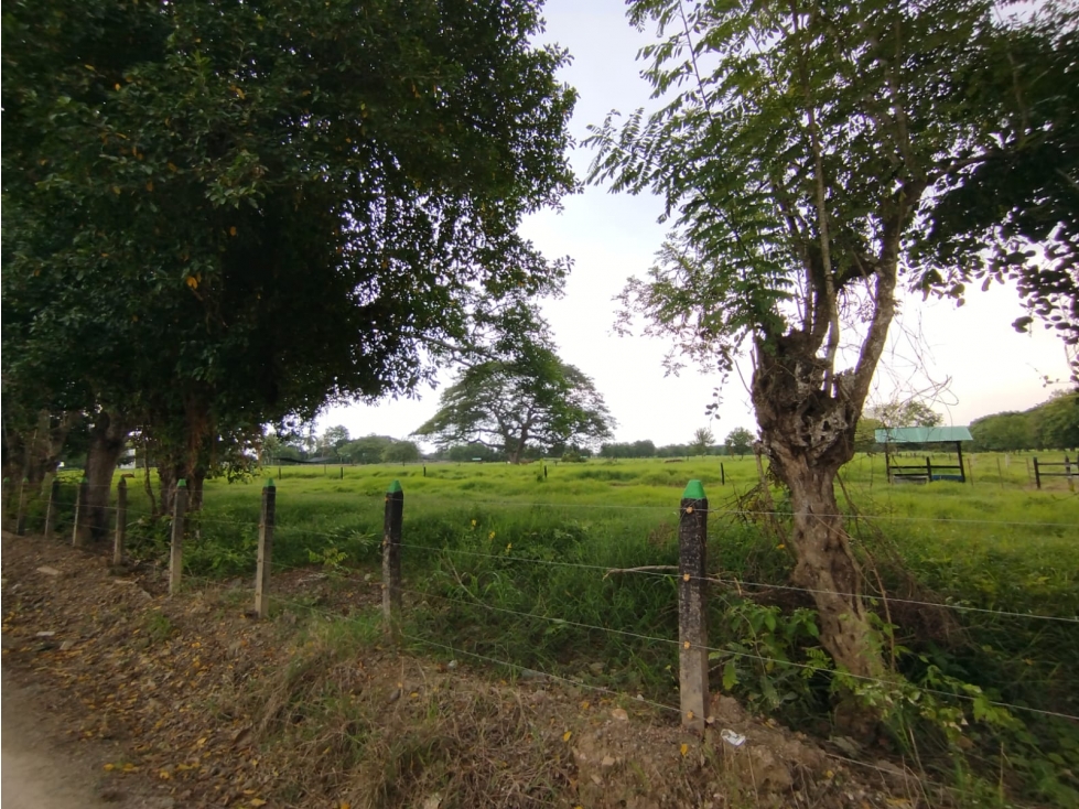 PROYECTO DE LOTES CAMPESTRES DE 1000 M2 VIA SABANAL - MONTERIA — foto 6
