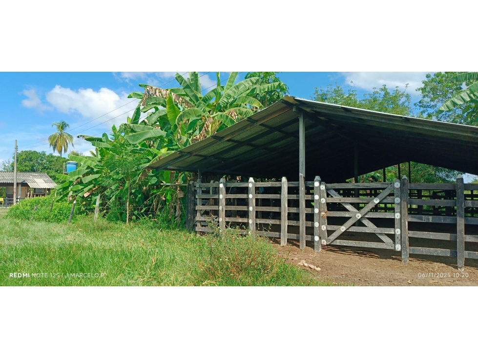 FINCA EN VENTA EN CIENAGA DE ORO - TIERRA PLANA - 2