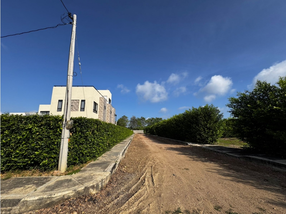 PROYECTO DE LOTES CAMPESTRES EN MONTERIA — foto 2