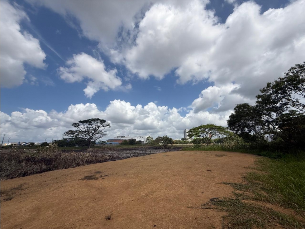 LOTE MEDIANERO EN VENTA EN MONTEVERDE - MONTERIA — foto 3