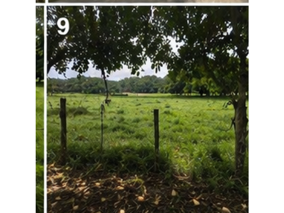 LOTE DE OPORTUNIDAD — foto 6